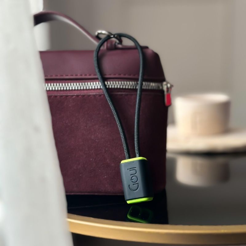 Goui Lock Câble iPhone Porte Clés Lightning vers Type C 27 cm Noir G-NT15-8PIN-KC