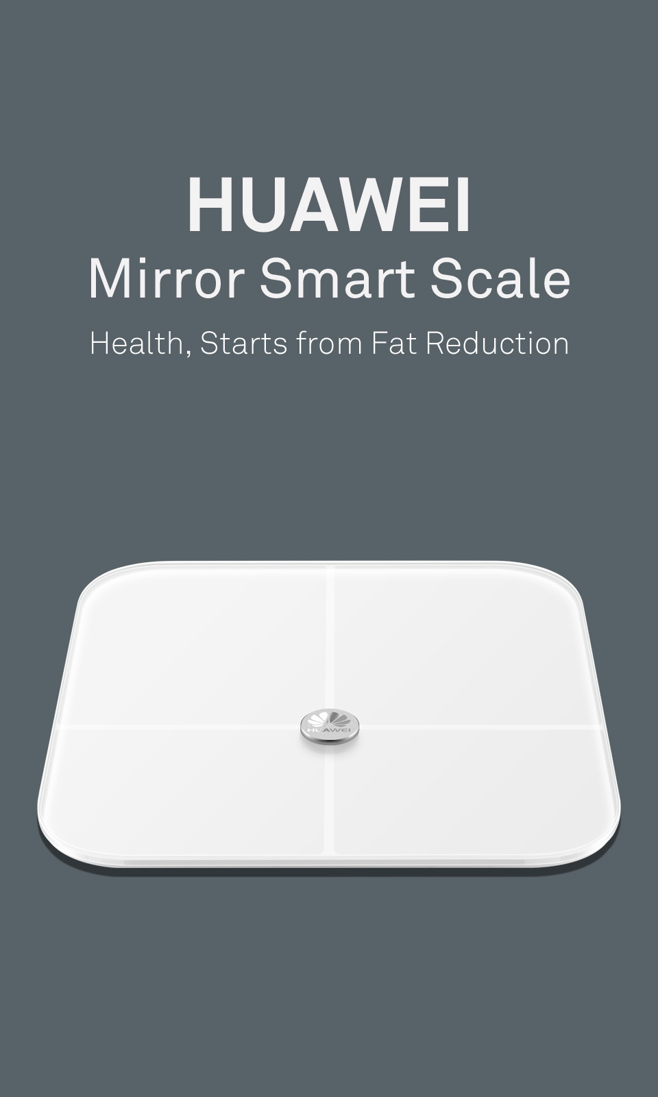 HUAWEI BODY FAT SCALE – Prix