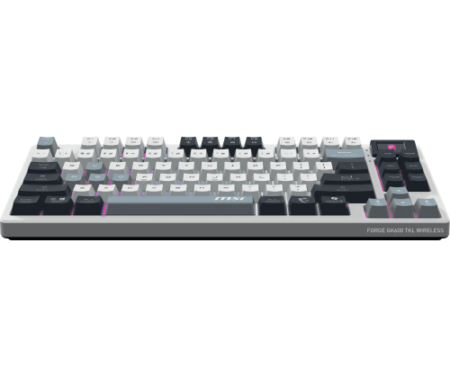 MSI FORGE GK600 4711377284189 – Prix